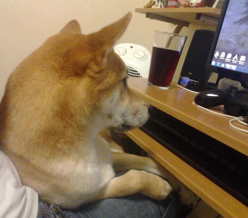 APP下载 LY Sports-中国女篮注重心理素质提升，中国女篮团队精神的感悟