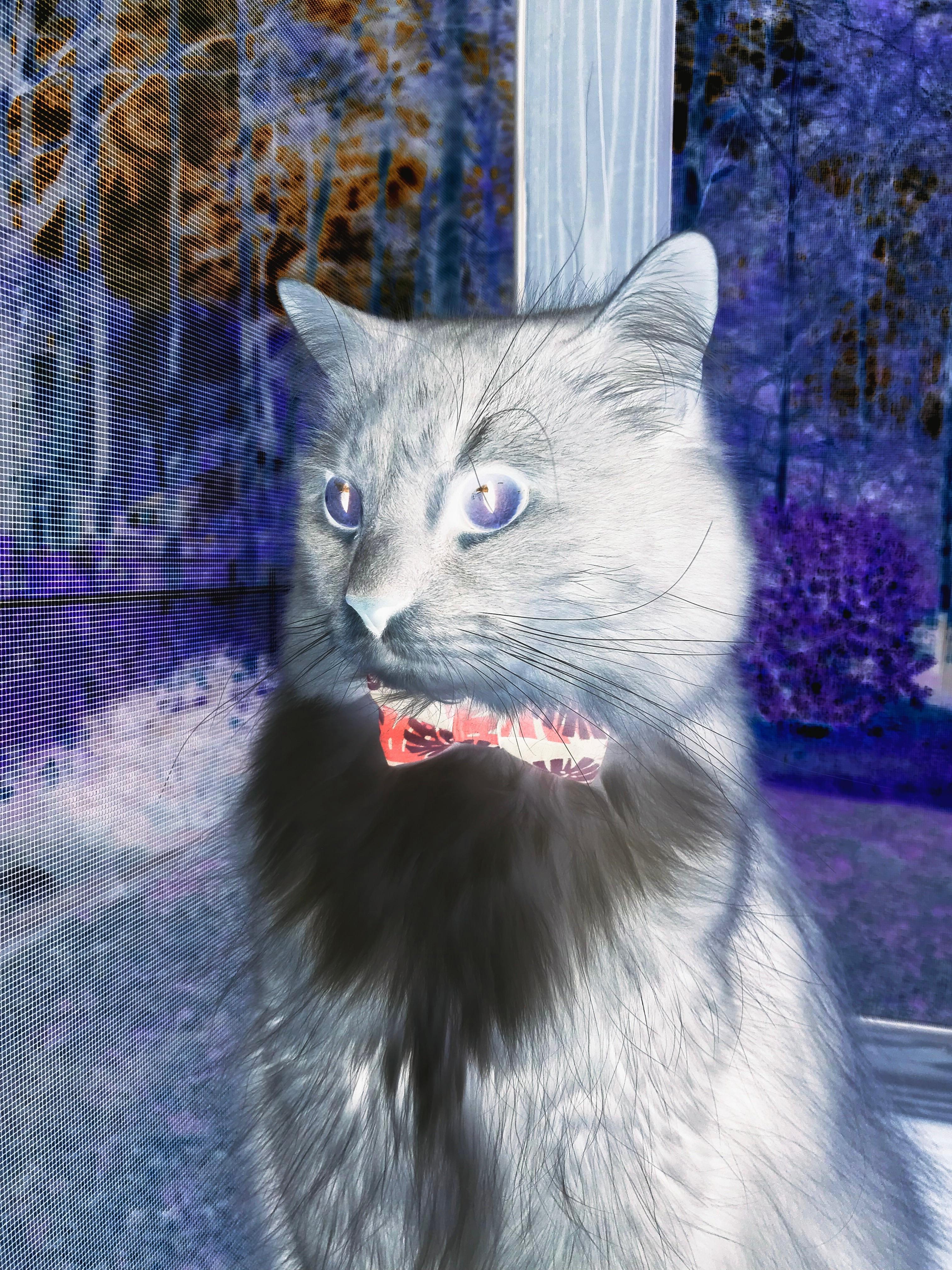 乐鱼体育平台app下载-中立B女将完成关键逆转晋级