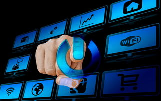 乐鱼vip-体育新闻中心共建体育新闻编辑智能校对系统，体育新闻报道范文大全