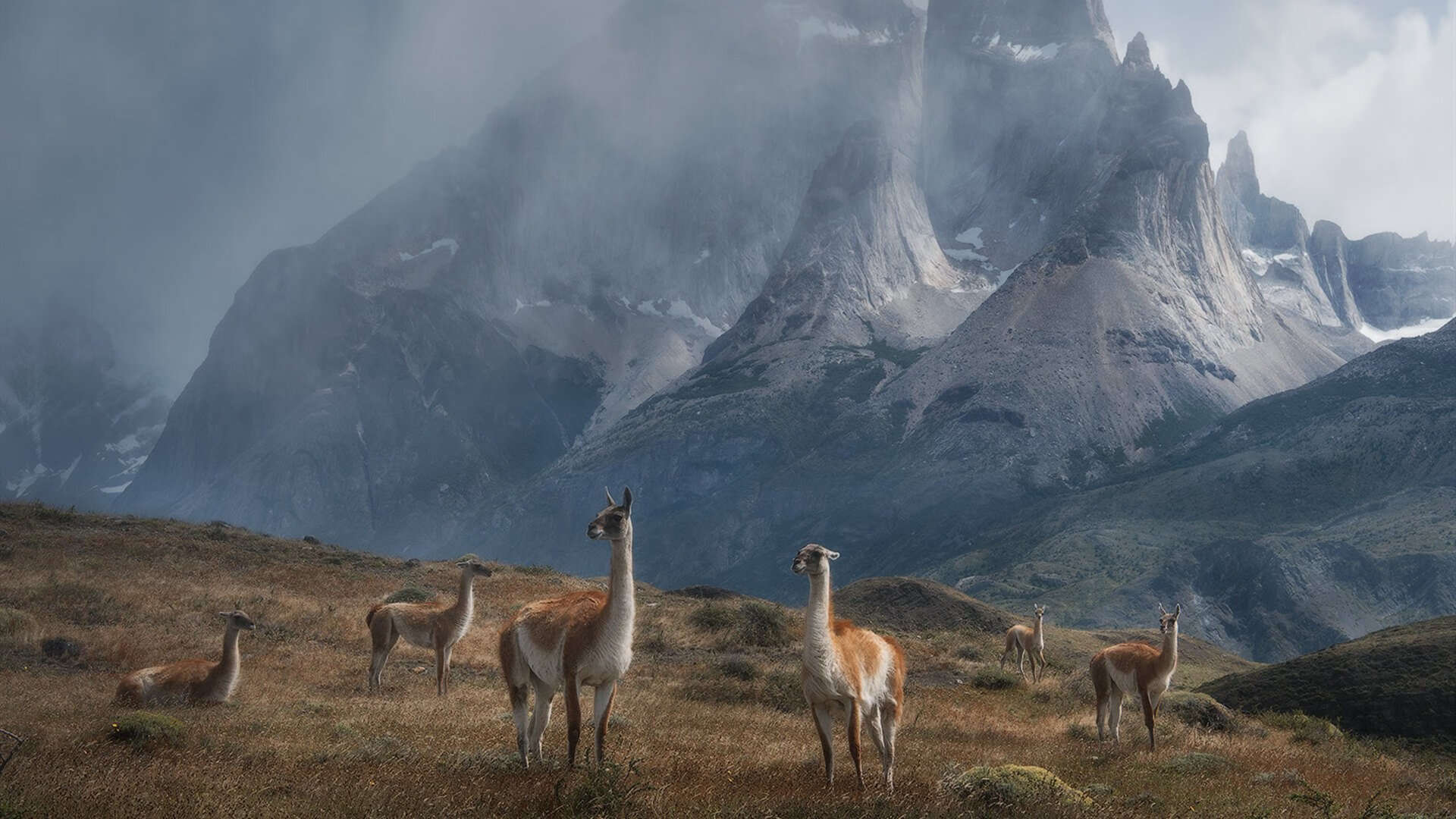 乐鱼（LEYU）体育-国家女篮关注对手研究做好技术准备，国家女子蓝球队