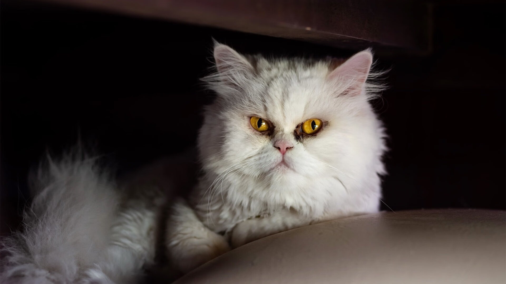 国际热身赛中国青年队战平 球员状态稳定,中国队热身赛安排