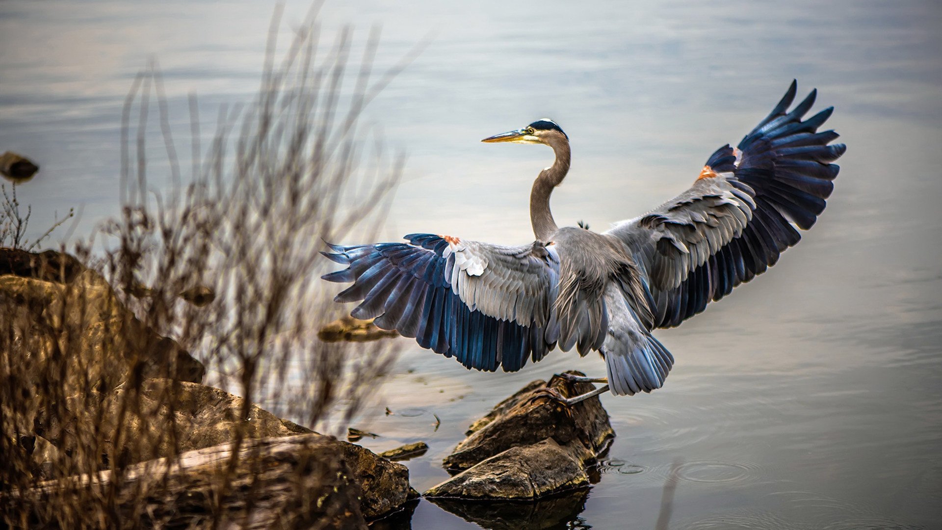 外教管理模式与本土文化冲突明显，外教管理办法