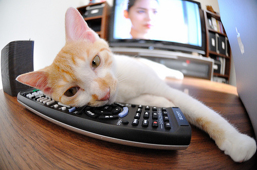 季后赛球队打法与常规赛有何不同,季后赛和常规赛是什么意思