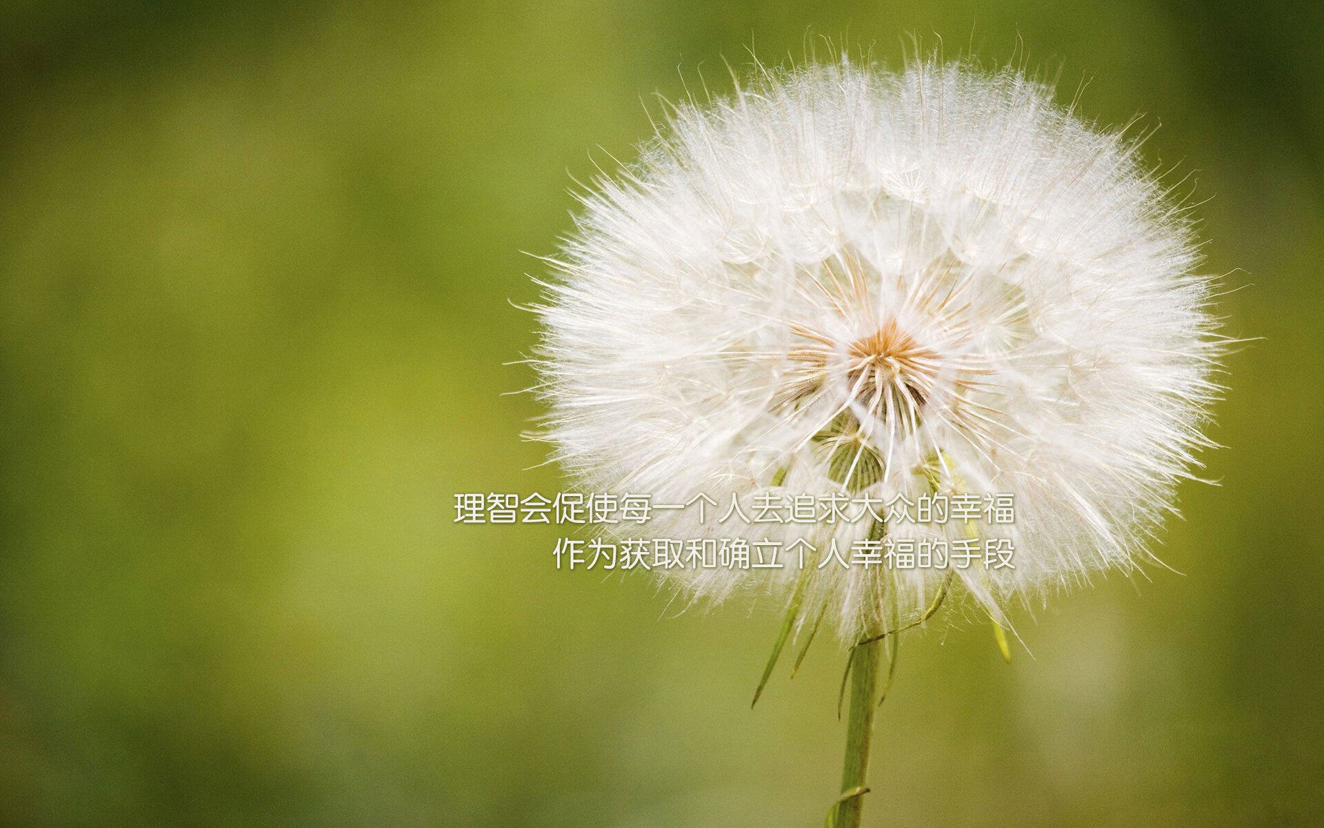 快攻发起时控卫如何判断推进节奏，快攻时犯规