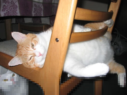 球队进攻主导权是否由中路向边路转移，足球中路进攻是指