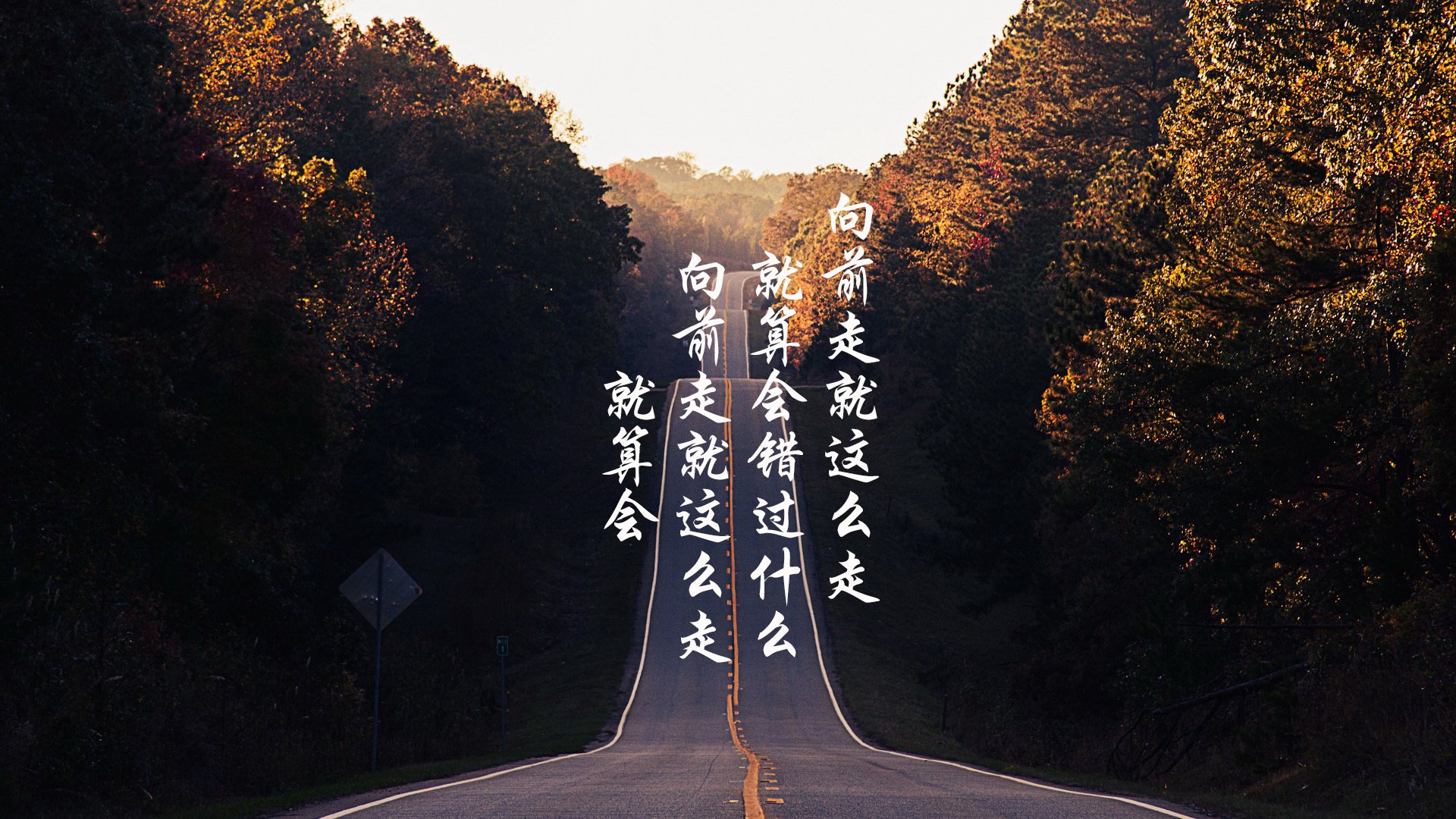 自由搏击赛事规模和水平提升，自由搏击国际比赛叫什么