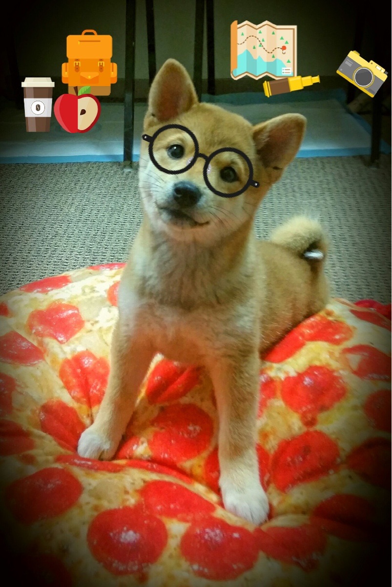 乐鱼电竞-仰泳对决中立代表队A不惧强敌表现冷静，仰泳决赛