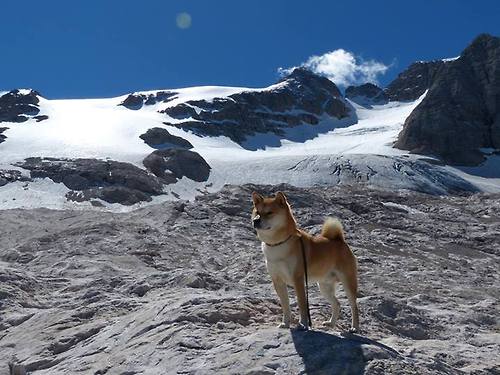 体育科技改变训练方式，体育科技改变训练方式的例子