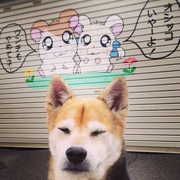 克洛普不断革新战术，带队冲击更高荣誉