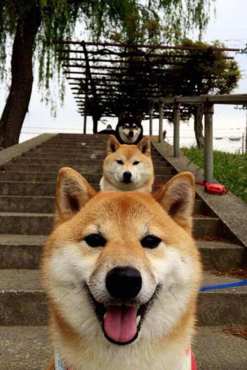 乐鱼官网-公牛主帅赞扬球队训练态度积极主动，公牛队介绍