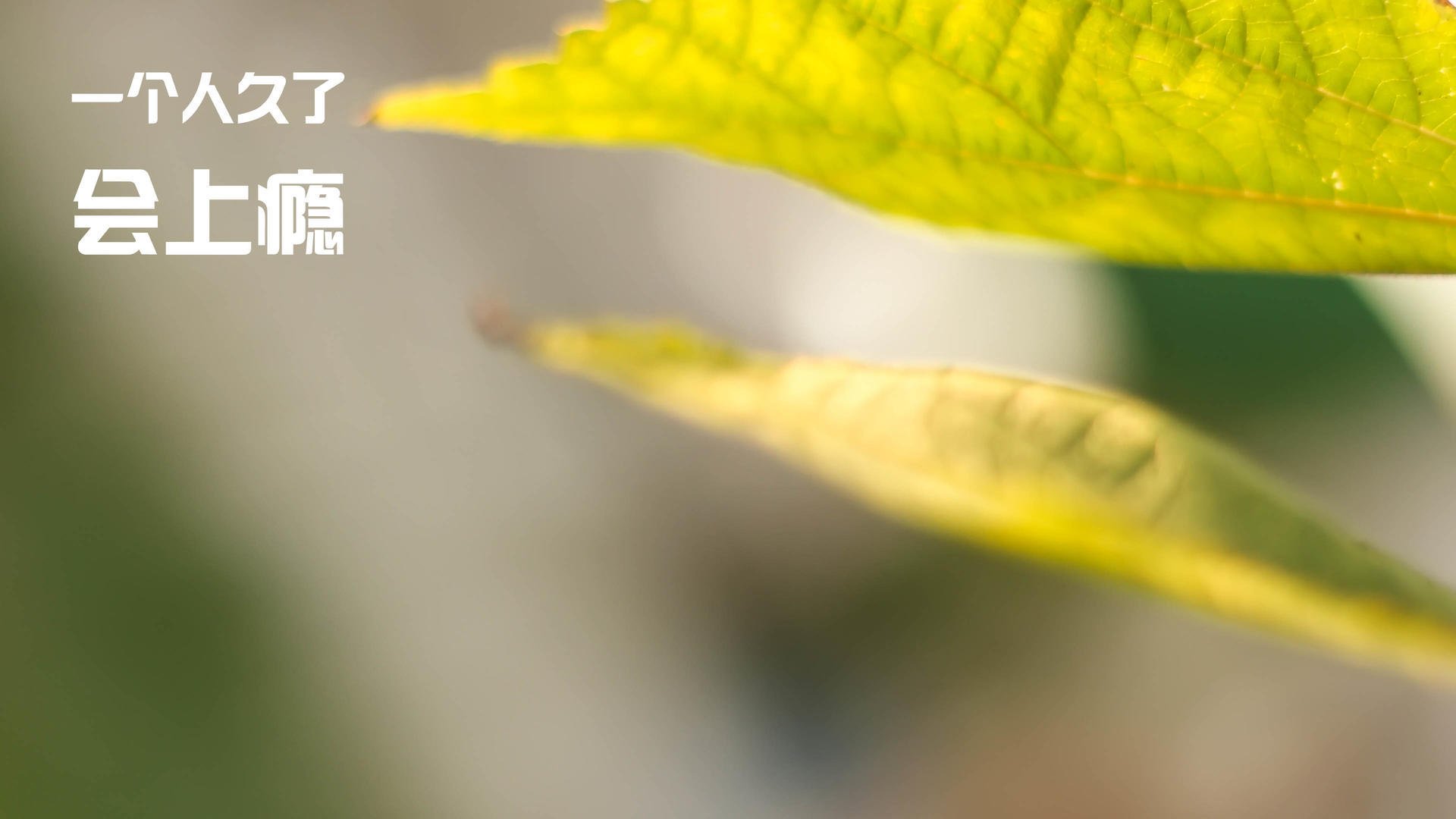 库里连续命中远投带动勇士打出高潮，库里超远投球