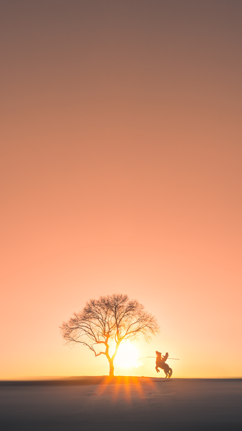 教练临场指挥成制胜关键，教练员临场指挥的六个因素