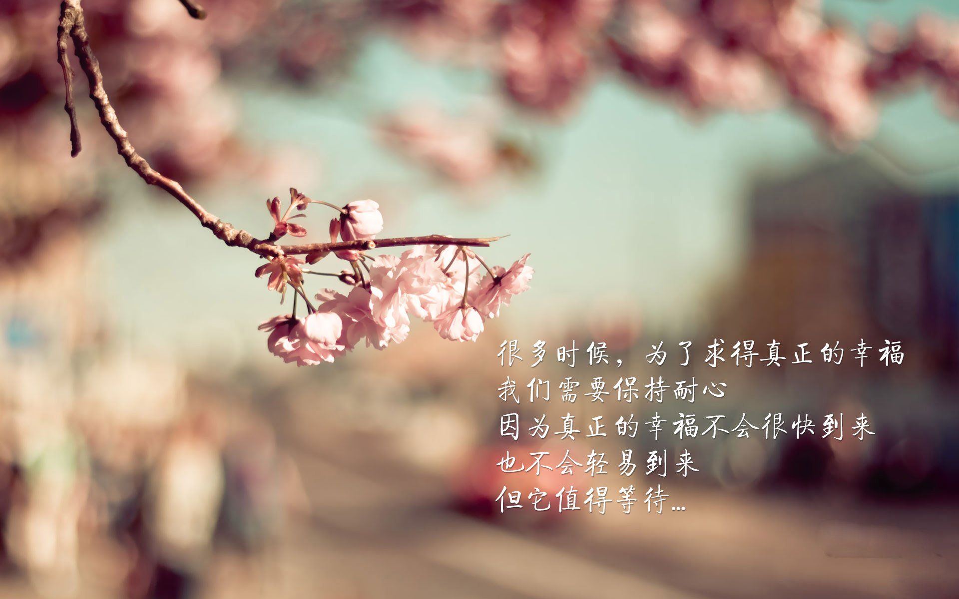 湖人推出新媒体内容扩大年轻人影响力，湖人新引进球员