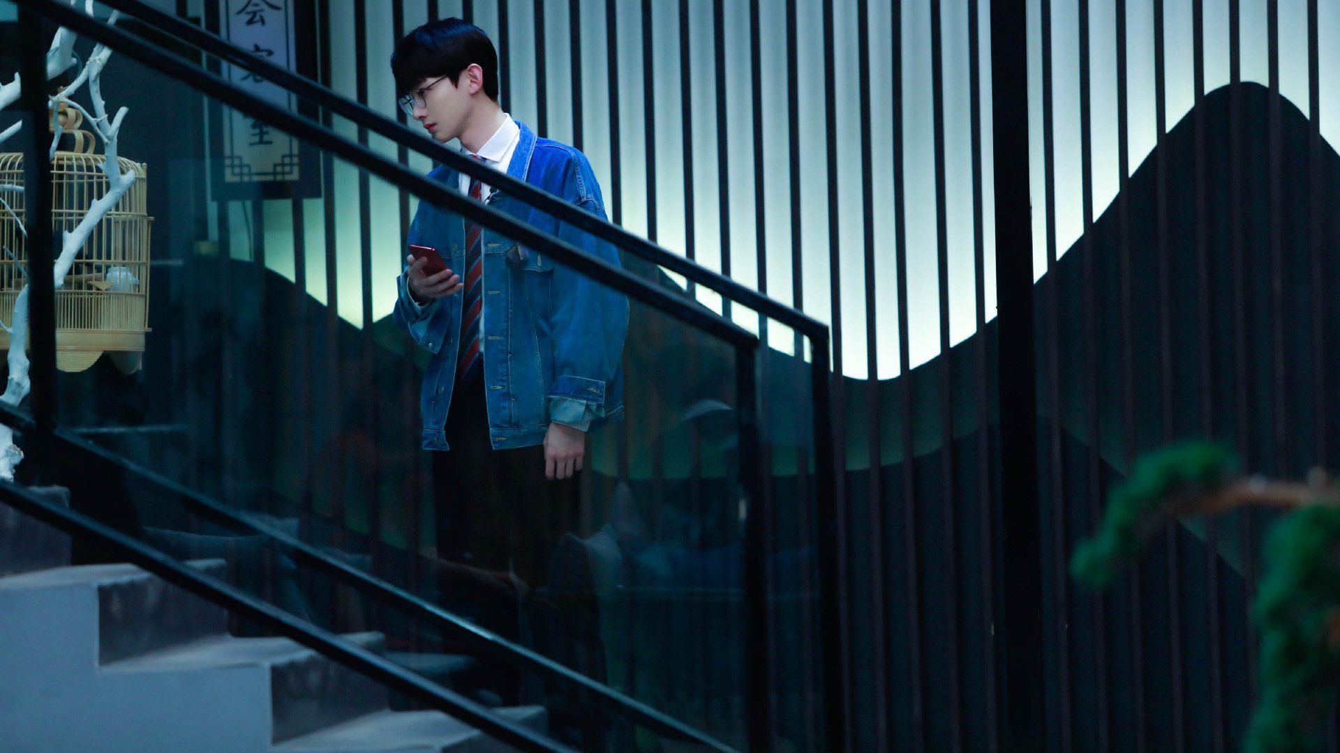 爱尔兰青训项目支持橄榄球长远发展，爱尔兰体育项目