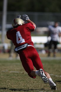 LEYU SPORTS中国官方网站-袋鼠队以全面防守为基础，确保进攻效率，袋鼠选手